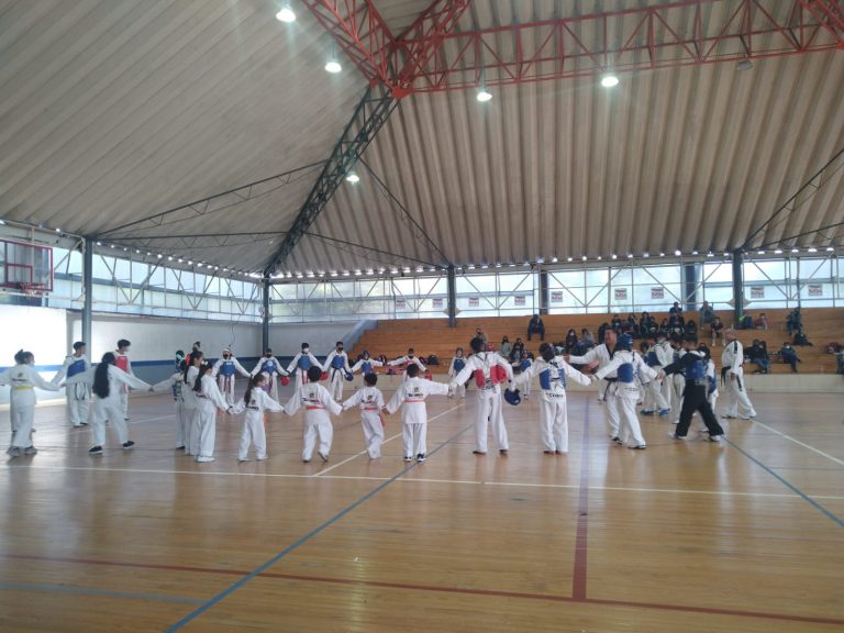 GRAN EXHIBICIÓN DE TAEKWONDO