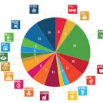 Agenda 20 – 50 y la actividad física. Políticas públicas de la cultura física en México, un tema pendiente en la agenda educativa nacional