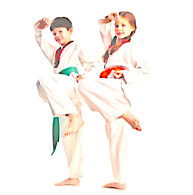 Modelos de enseñanza en taekwondo conductista y cognitivo.