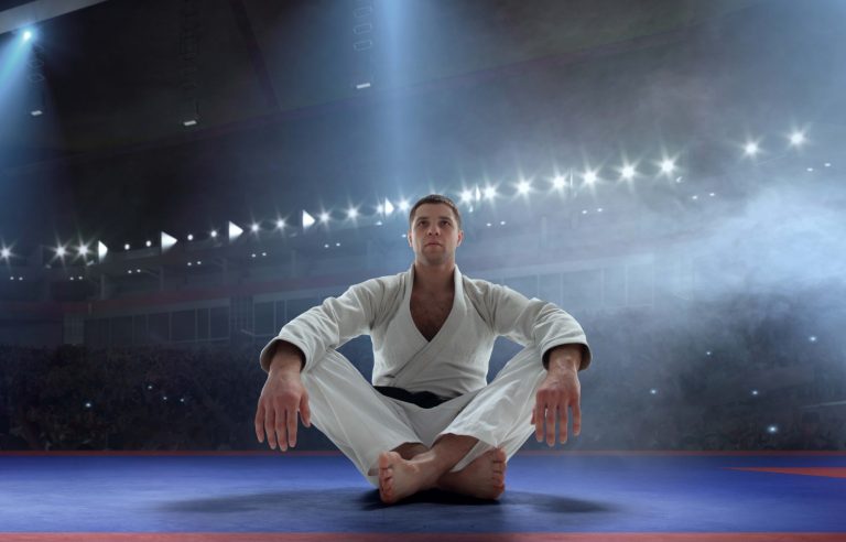 Educación virtual en artes marciales.