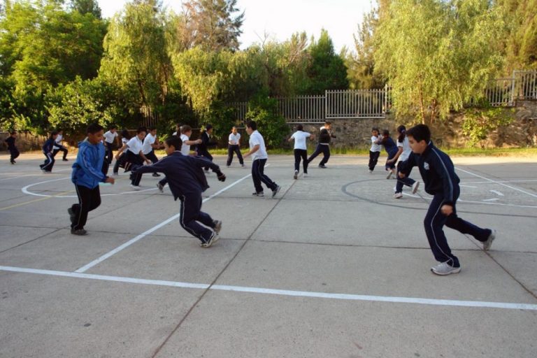 Enfoques de la Educación Física en México