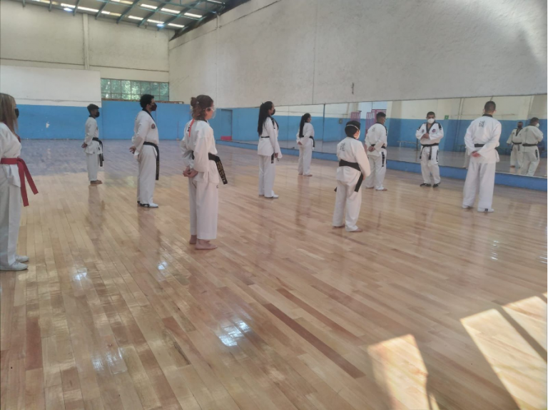 Taller de Técnicas Básicas impartido por la Escuela Mexicana de Taekwondo en el deportivo Plan Sexenal.